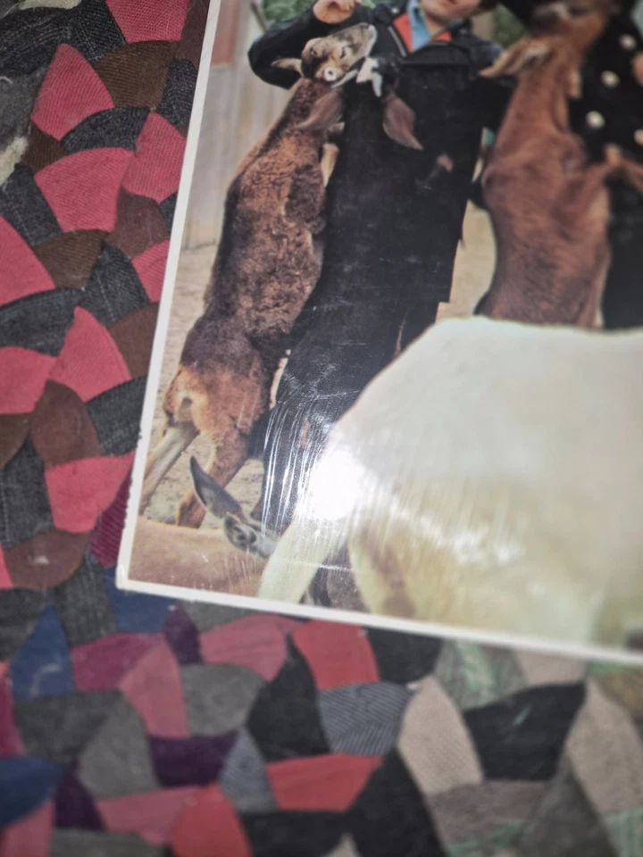 MINT 1966 SHRINK =ORIG! ~ THE BEACH BOYS ~ PET SOUNDS Surf psych BRIAN WILSON - Image 2 of 4