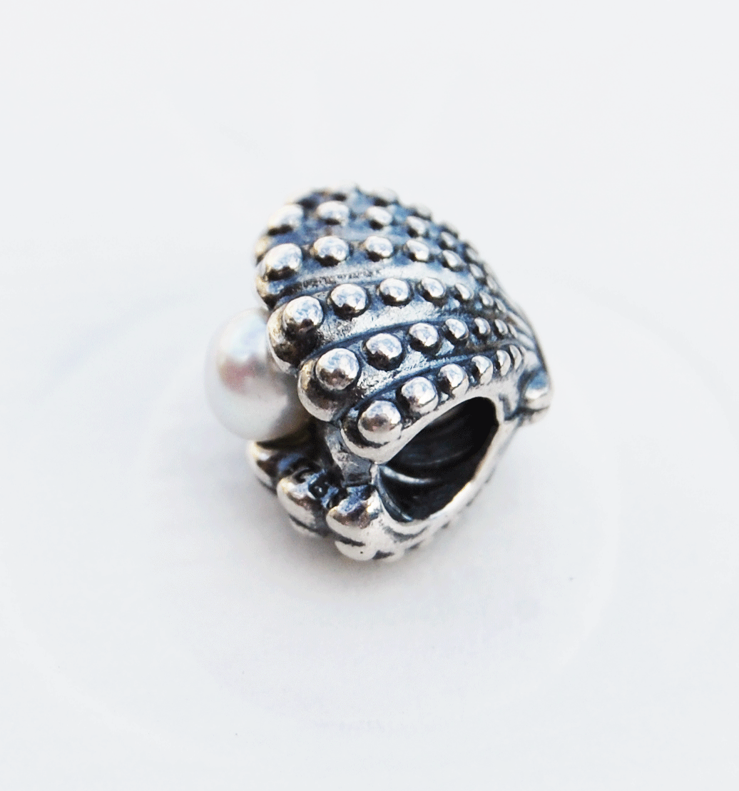アクセサリー Pandora k14 Charm Amazon.com: PANDORA Splittable Four Leaf Clover Charm - Gift