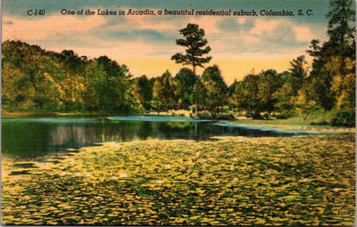 #ad Vtg Columbia South Carolina SC Lake in Arcadia Residential Suburb 1940s Postcard $1.99