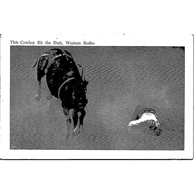 This Cowboy Bit the Dust Western Rodeo Postcard PC113