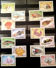 FISH FUJEIRA animals endangered wildlife SEALIFE corals reef crabs shell lobster