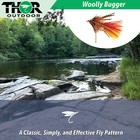 4 Pc Woolly Bugger Assortment #10, Fly Fishing Bass & Trout Streamer Flies B — photo 3