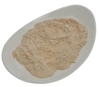 (35,40Eur/Kg) Sena-Premium Gemahlene Bohnenschalen (500G)