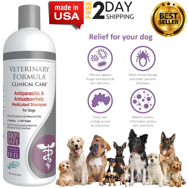 best dog shampoo for scabies