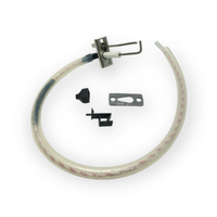 Ariston Detection ZÜNdelektrode 65116556-03 Ex 65116556-02 65119375 Kessel