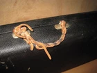 Picture 6 of 11