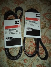 Cummins Ribbed Belt 3289470 72"