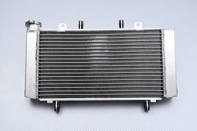 Radiateur d'Eau Type Racing pour HONDA CB750 / Hornet 750 RH24 2025-2026 - Photo 1/4