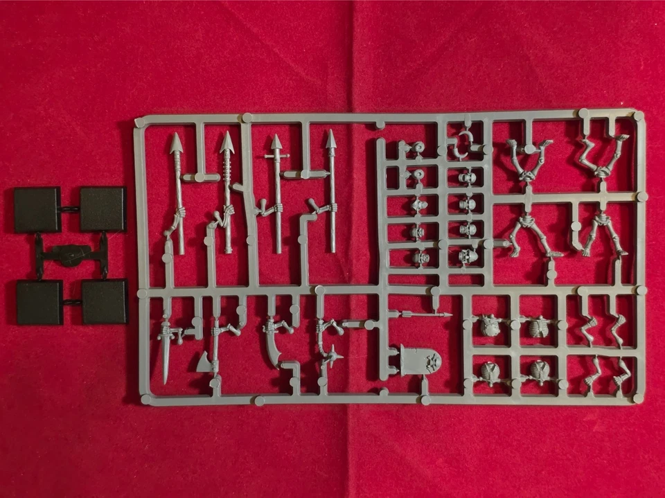 GAMES WORKSHOP Warhammer Fantasy Undead Skeleton Warriors on Sprue RARE OOP AoS