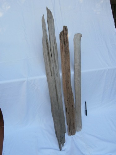 XL Legno di mare piatto 10cm largo 1,05m lungo (2463) spiaggiato deco shabby - Foto 3 di 3