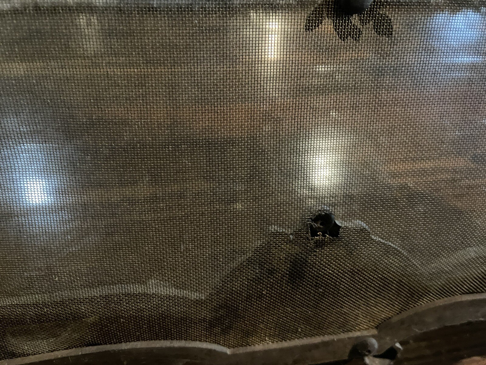 Picture 8 of 12
