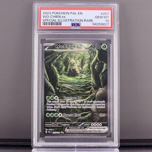 psa 10 pokemon cards PSA Slab Guard - Luminous main image 0