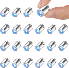 AUAUY 22Pcs Mini LED Lights, Mini LED Battery Operated Small Lights for Crafts