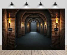 7x5ft Gothic Castle Backdrop Medieval Dungeon Interior Stone Wall Photo Prop