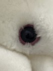 Foto 7 di 12