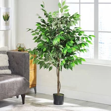 5/6ft Tall Artificial Ficus Tree w/ Pot Fake Greenery Tree Decor for Home Office