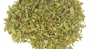 senna cassia angustifolia makki patta sonamukhi trendinginsocial herbal