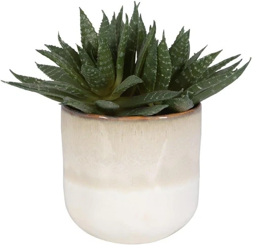 Doha Succulent Planter - 10.5" Tall, 11" Wide Decorative Piece - Picture 1 of 2