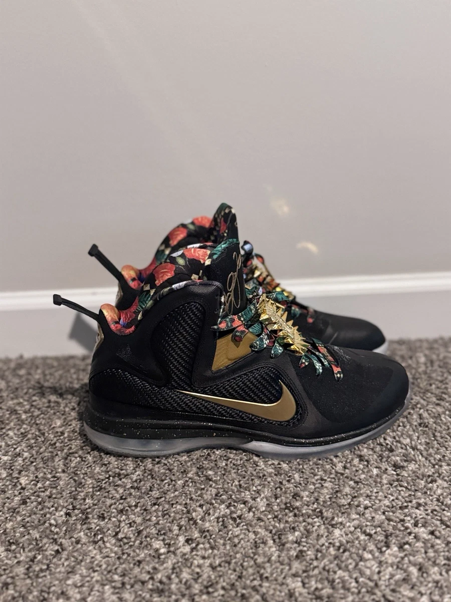 Nike LeBron 9 2022 Watch The Throne for Sale | Authenticity