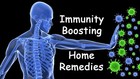 Boost Mental Focus Capsules - Blue Green Algae 500mg - Blue Algae 2B