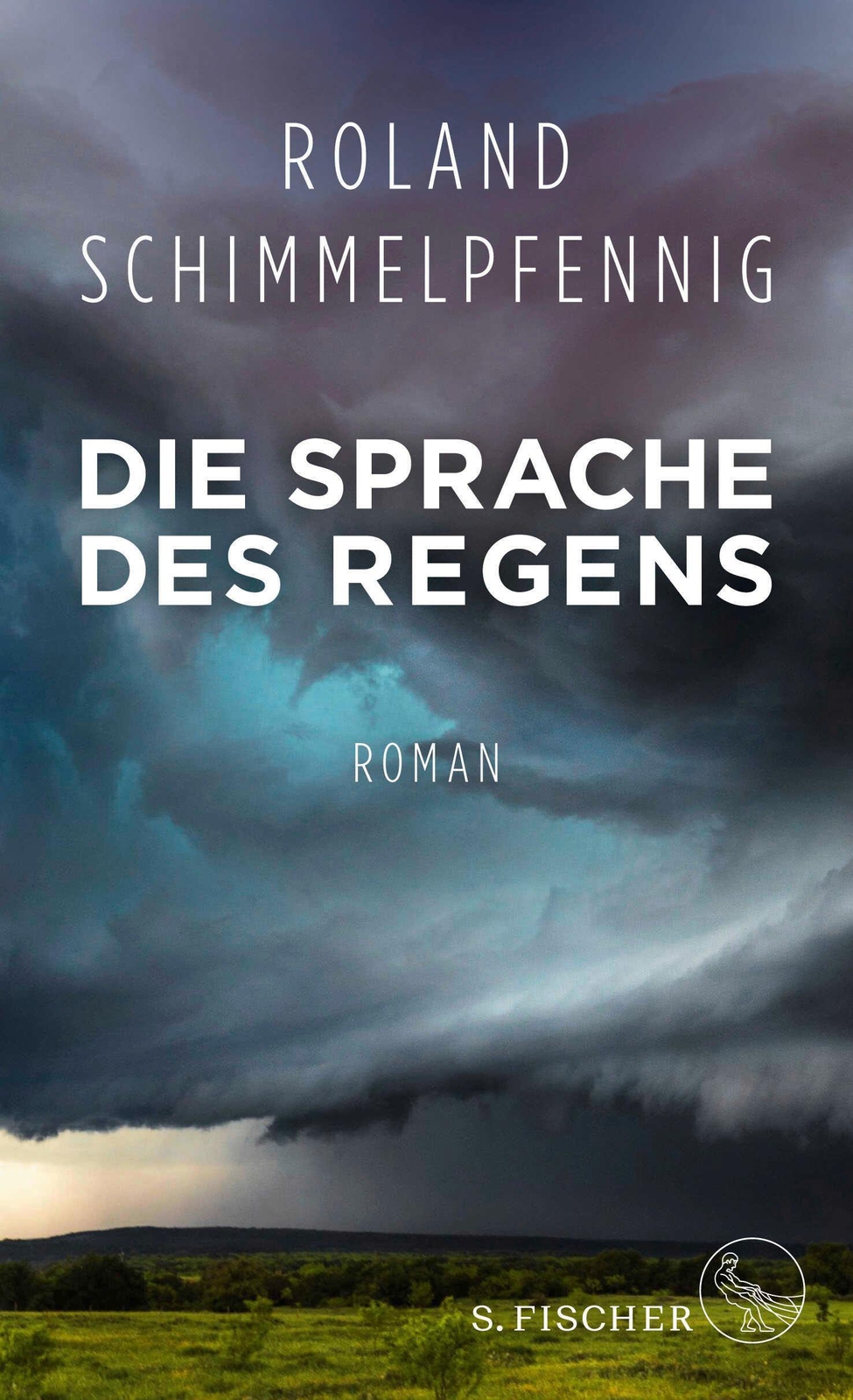 Roland Schimmelpfennig / Die Sprache Des Regens9783103973211