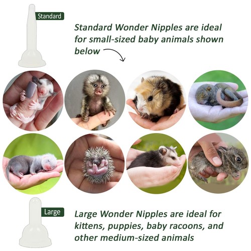 Exotic Nutrition Wonder Nipple Standard - Baby Animal Feeding Nipple for Nursing - Picture 5 of 9