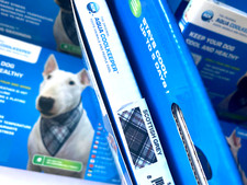 HundebandanaAqua sehr gro&szlig;e Hunde Coolkeeper Cooling  scottish grey XXL AQ3200