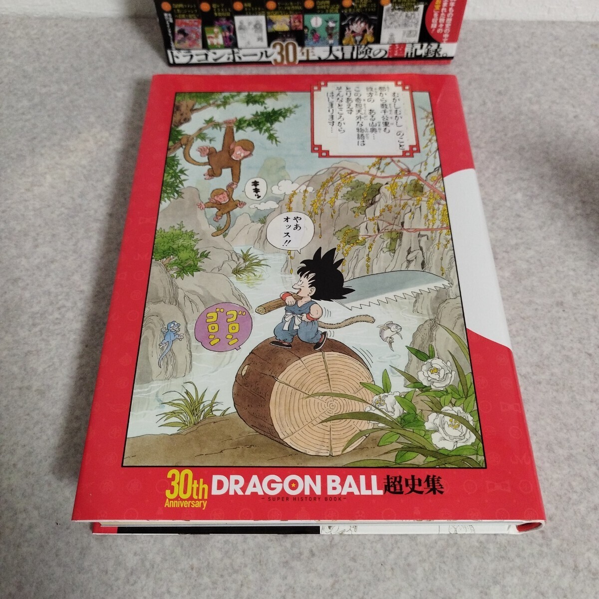 Dragon Ball 30th Anniversary Super History Art Book Akira