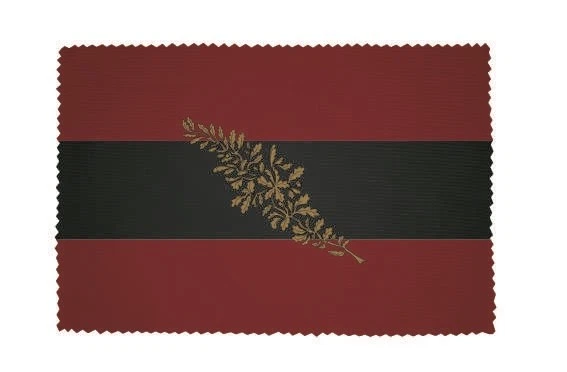 U24 Glass cleaning cloth glasses cleaning cloth flag Jena fraternity