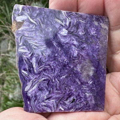 Charoit poliert Scheibe Sibirien Russland alt Sammlung Material 54 Gramm