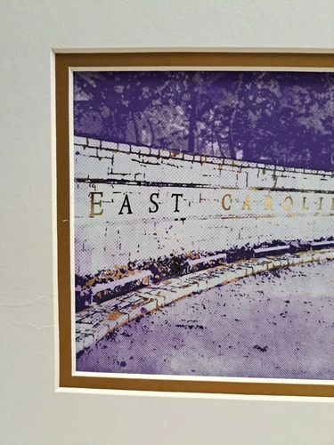 East Carolina University Photo With Golden Accents