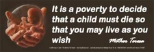It Is a Poverty Pro-Life Bumper Sticker
