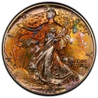1986 American Silver Eagle PCGS MS66 Rainbow Toned Key Crazy Pattern Key Date