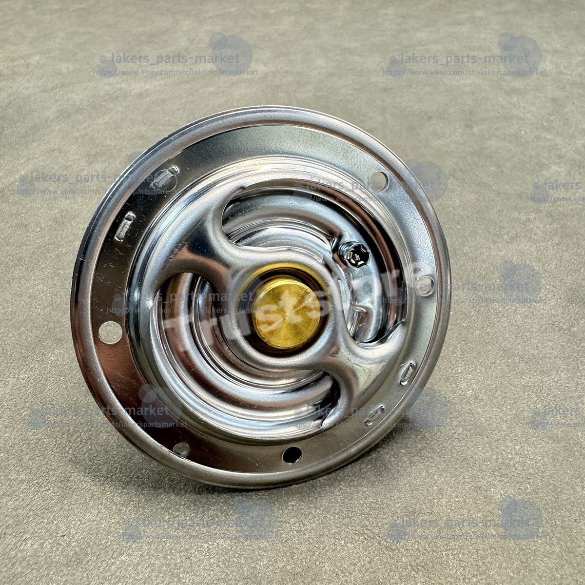Audi R8 Thermostat P/N 079198121