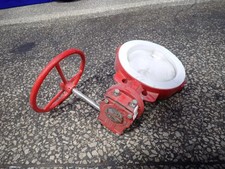 BRAY BUTTERFLY VALVE 10" 09251330224