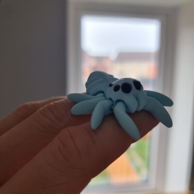 3D-gedrucktes entzückendes kleines Spinne sensorisches Zappelspielzeug (andere Farben verfügbar)
