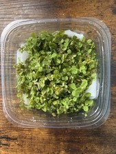 Salvinia Minima Water Spangles Live Floating Aquarium Plant - Small Portion