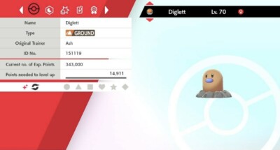 Pokemon Schwert & Schild Shiny Diglett 6IV Max EVs