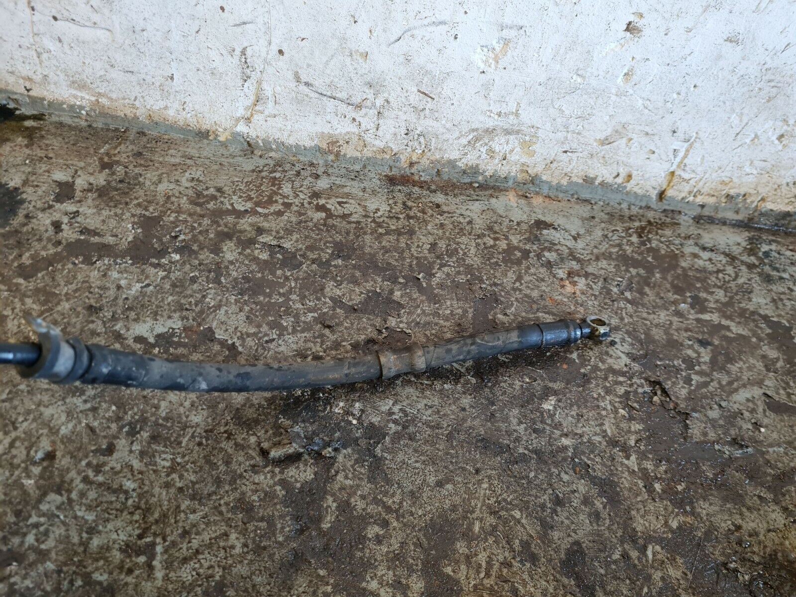 Picture 6 of 9