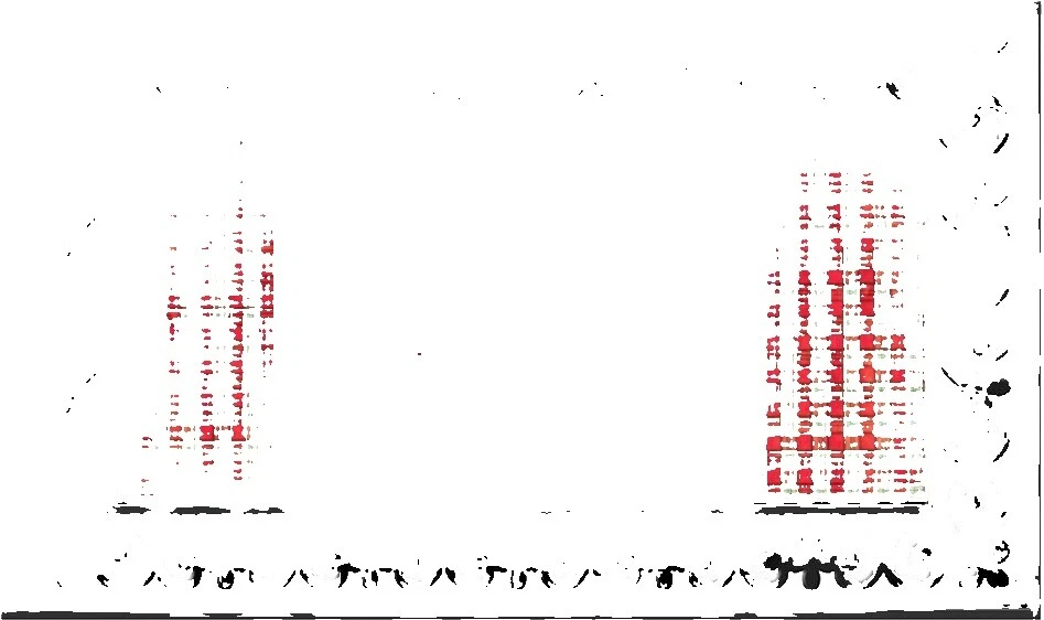 Holiday Door Mats & Floor Mats