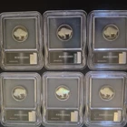 ICG - Genuine Buffalo Nickel Ruthenium & Hologram 5c 1 Of 1000