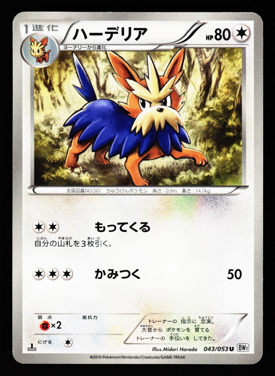 Herdier 043/053 Uncommon White Collection BW1 2010 Pokemon Japanese MP