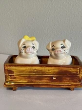 Hog Pig Salt and Pepper Shaker in Trough Holder