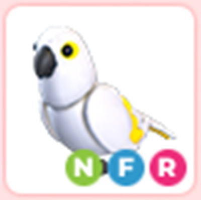 Pets Hot - All Pets (MFR-NFR FR) - The Trusted Store!!