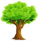 Boutique La Brocanteuse