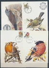 XE59651 Belgium 1991 -2005 Buzin birds maxicards used