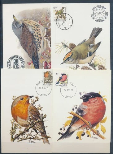 XE59651 Belgium 1991 -2005 Buzin birds maxicards used