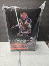 Hot Toys TMS171 Star Wars  Rebels Sabine Wren 1 6 Scale 12  Figure In hand