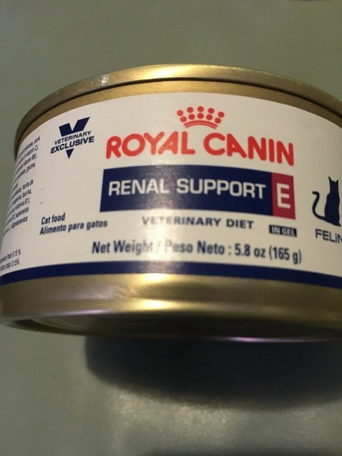 royal canin feline renal