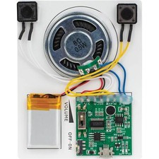 Voice/MP3 Record and Playback Board Kit with Li-Poly Battery and USB Cable for S